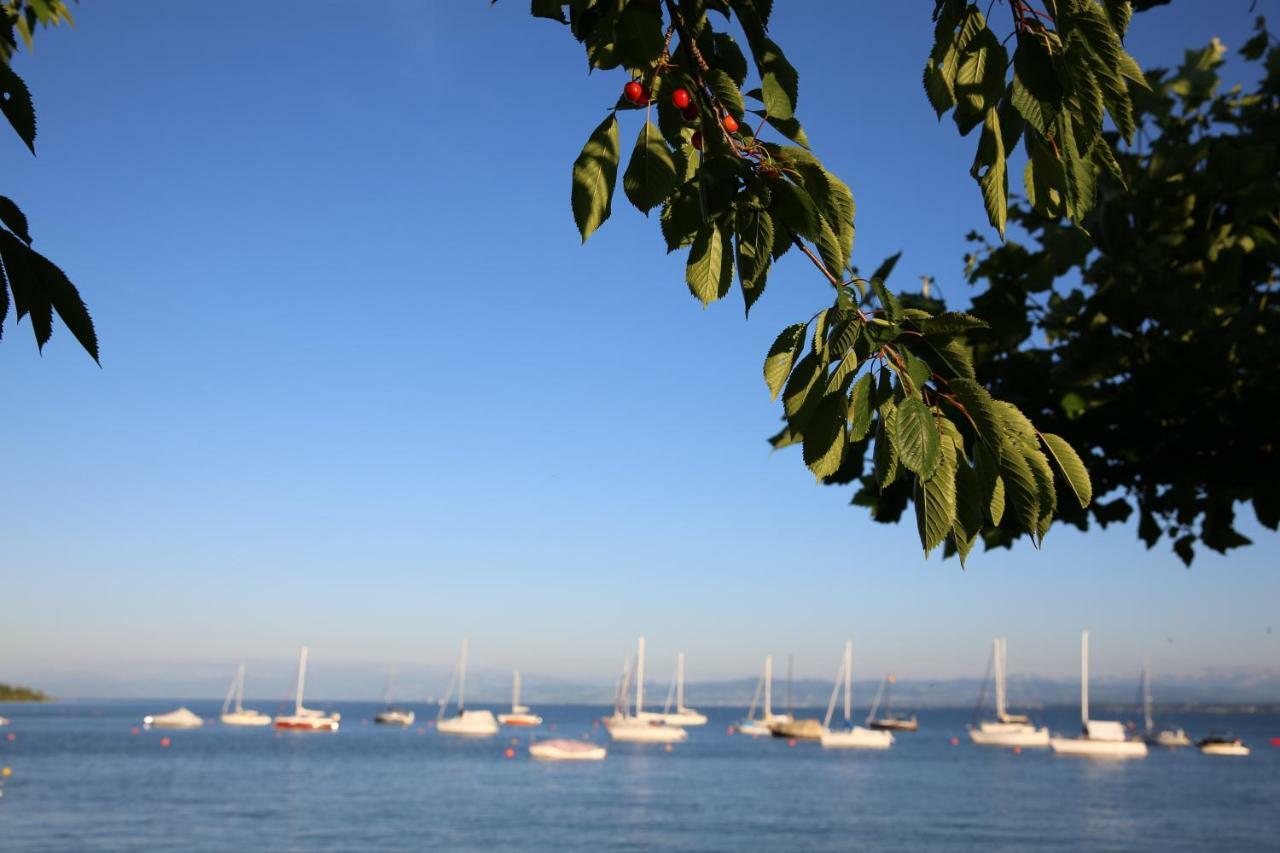 Der Loewen Hagnau am Bodensee